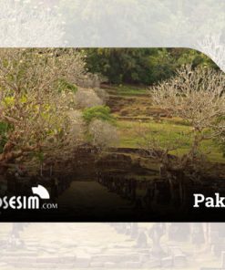 Pakse eSIM