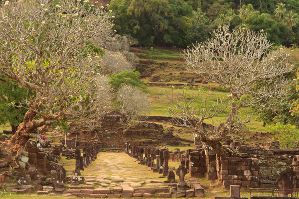 Pakse eSIM